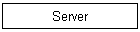 Server