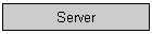 Server